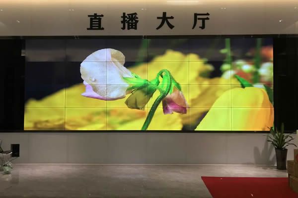 直播大屏用哪種好，直播大屏有哪些