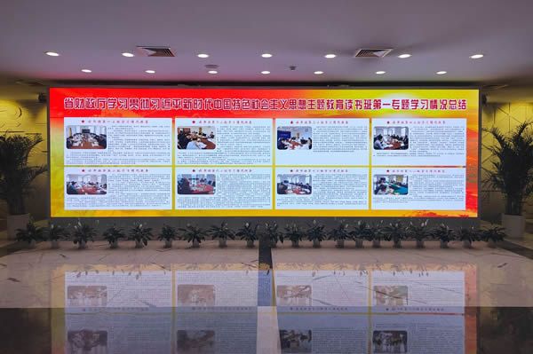 國內(nèi)有哪些COB顯示屏廠家做得比較好的？